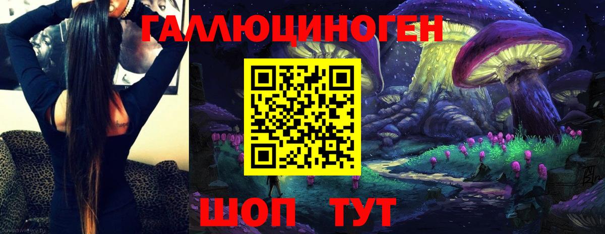 Псилоцибиновые грибы Psilocybe  Вход с VPN  Вичуга 